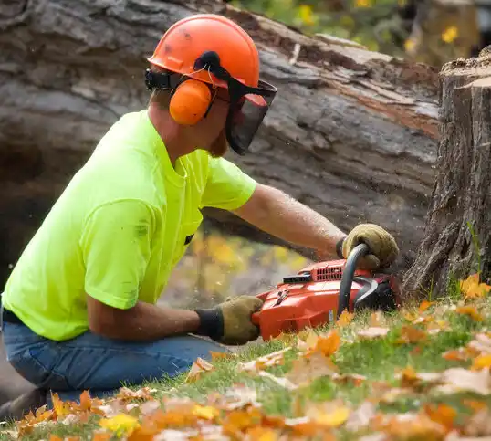 tree services Zebulon